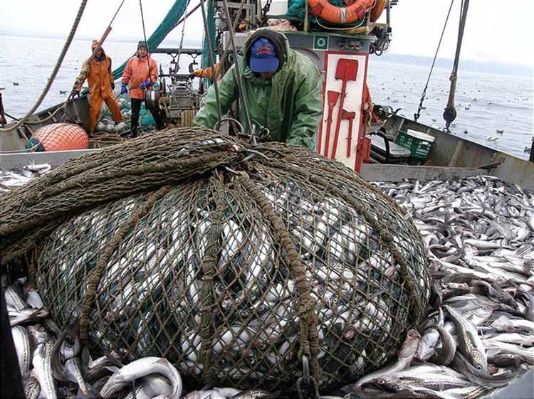 Роль общества в сохранении изобилия природы морей